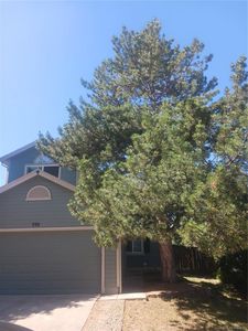 550 James Street, Highlands Ranch, CO, 80126