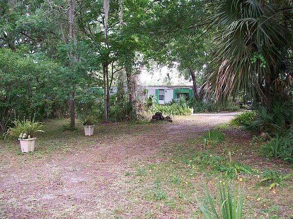 One Acre Lot, Many Oak Trees