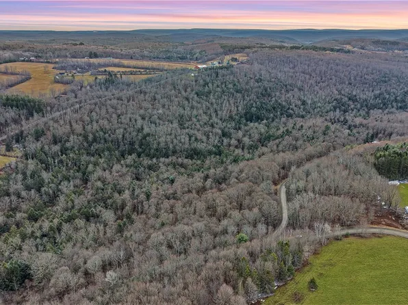 Dry Run Rd Lot 1, Beaver Dams, NY 14812