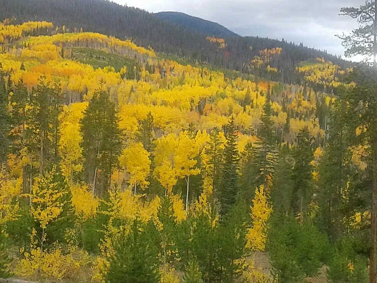 3+ acre property with views!