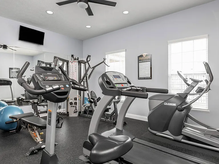 Cardio Machines in Fitness Center