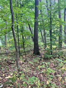 Mallard Dr, Cushing, MN, 56443