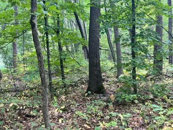 Pebble Pass, Cushing, MN 56443