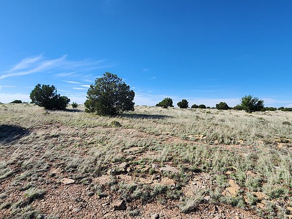 4th image of 3119 Jackrabbit Dr