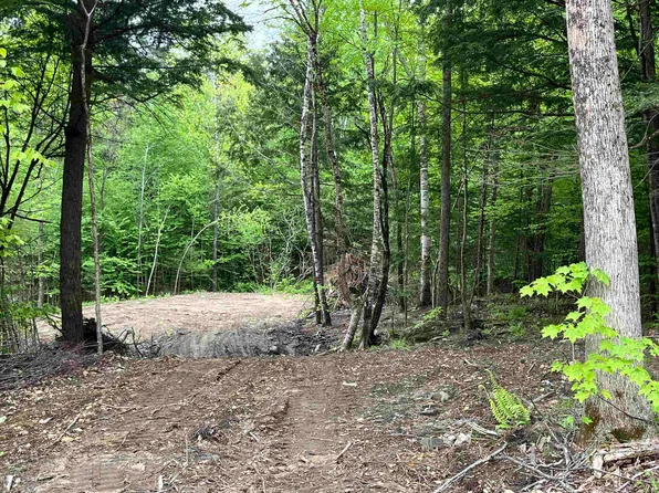 0 Remington Road #9, Chester, VT 05143