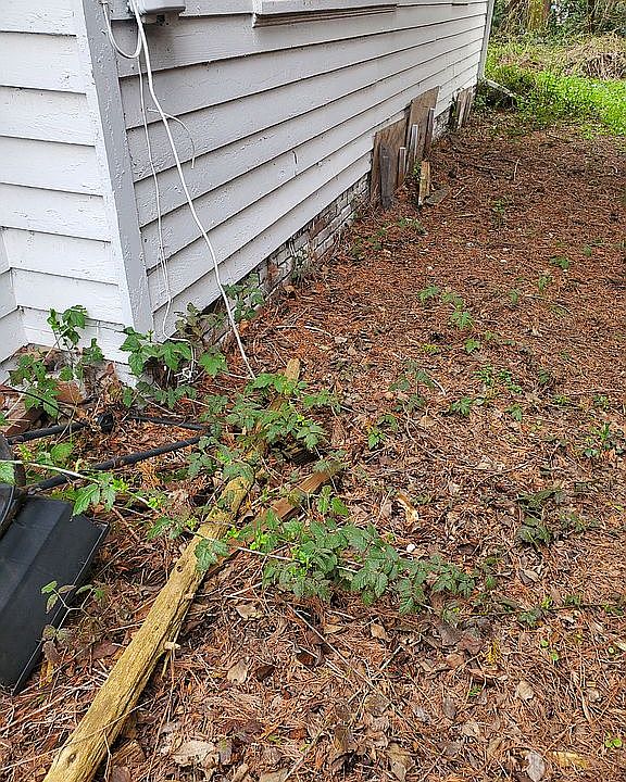2nd image of 3235 SE Harrison St