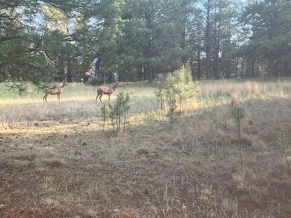 2nd image of Lot 7 Pine Top Lane