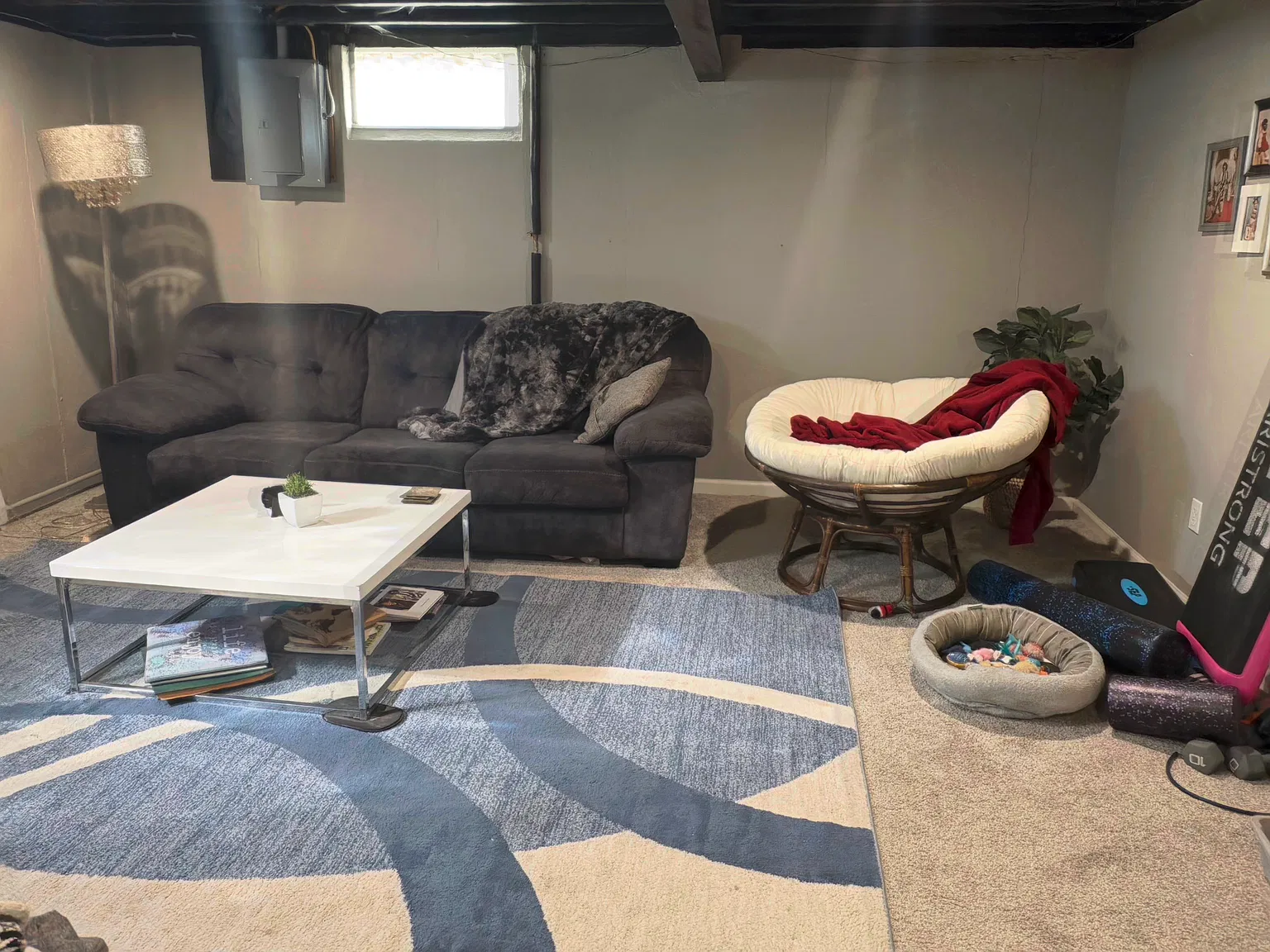 3 bed, 736 sqft, $1,450 — Photo 3