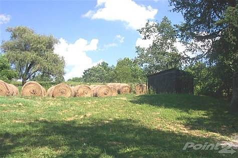 2nd image of 5244 Deep Creek Rd