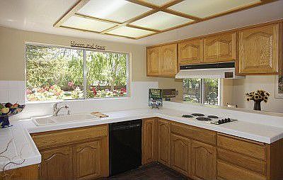 View of backyard from ktichen