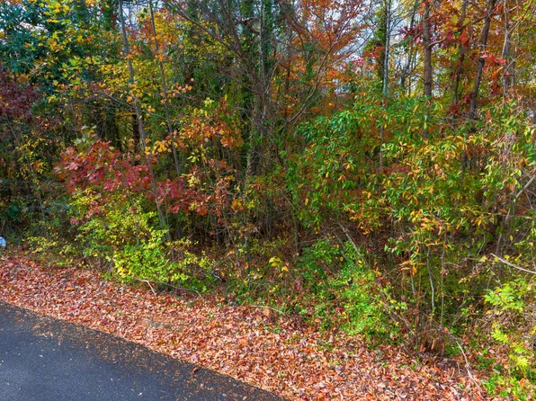 1 Smokey Dr, Loudon, TN 37774