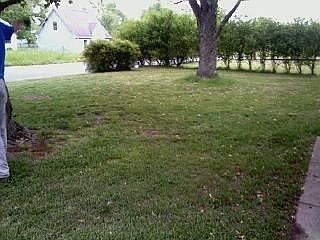 New Gritton Front Yard