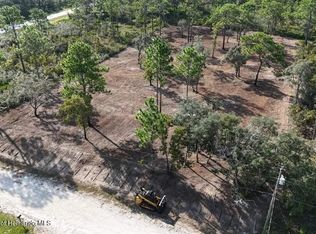 10216 Yellow Frog Ave, Weeki Wachee, FL 34614