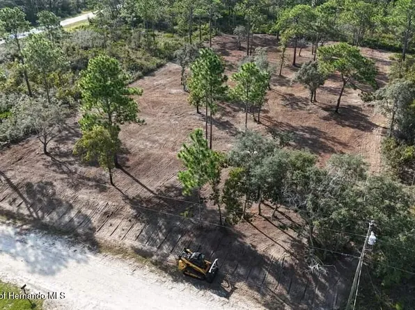10216 Yellow Frog Ave, Weeki Wachee, FL 34614