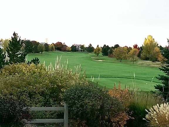 Back yard looking South