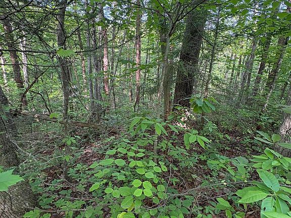 5th image of LOT 6 Walnut Flats Rd