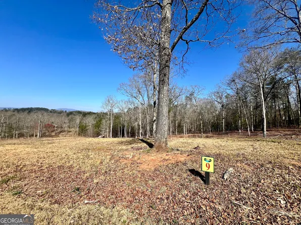 9 Arbor Creek Trl, Mineral Bluff, GA 30559