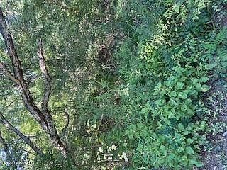 2nd image of Browns Ferry Rd