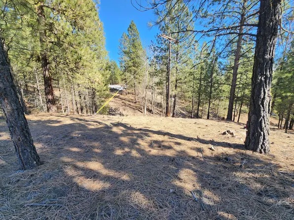 18 Delaware St, Kettle Falls, WA 99141