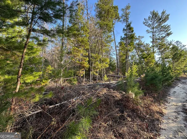 1 Horne Rd, Roberta, GA 31078