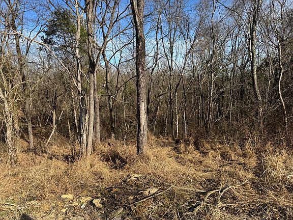 3rd image of 11175 New Columbus Rd