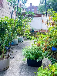 Rented by Voro New York