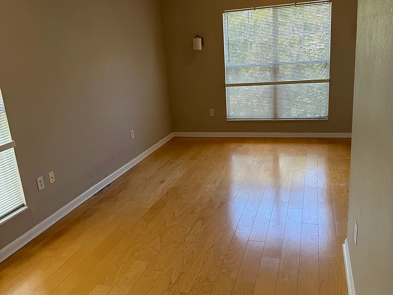 2421 W Horatio St #830 — Photo 3
