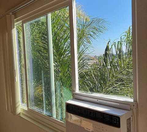 View from Living room window.