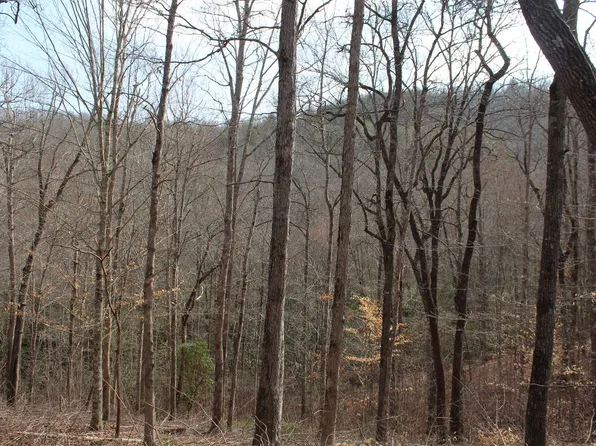 7 Fodder Creek Mill Rd, Hiawassee, GA 30546