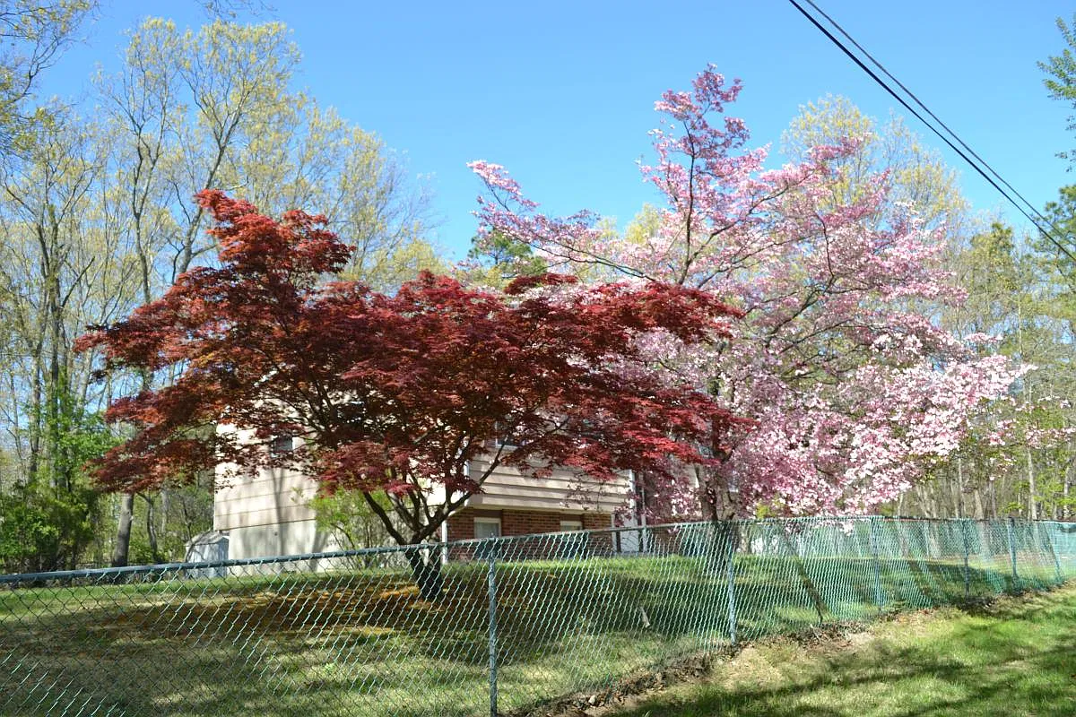 3 bed, 2260 sqft, $3,500 — Photo 1