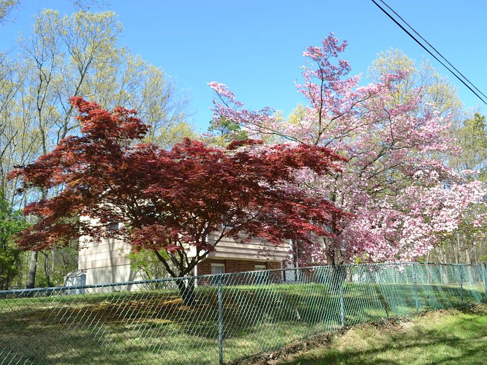 739 Front yard