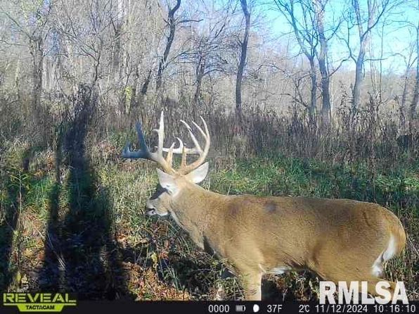 0 E 700th Ave, Watson, IL 62473