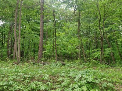 5696 E Jensen Rd, Martinsville, IN, 46151