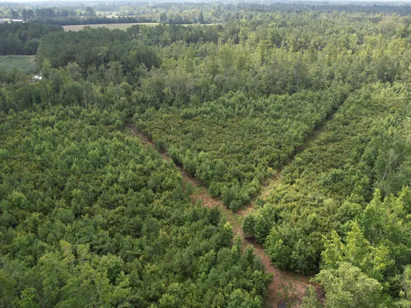 421 Riverneck Road, Columbia, NC 27925