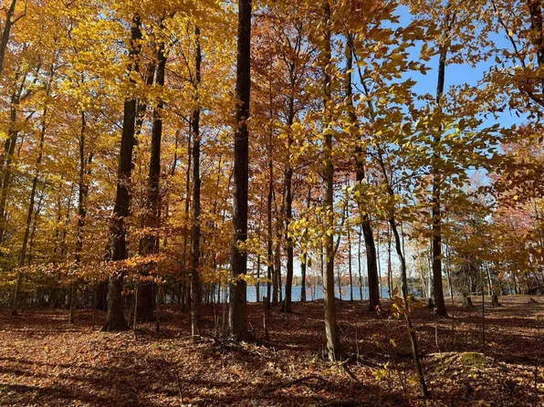 LOT 76 W Birch Shores Dr, Trout Lake, MI 49793