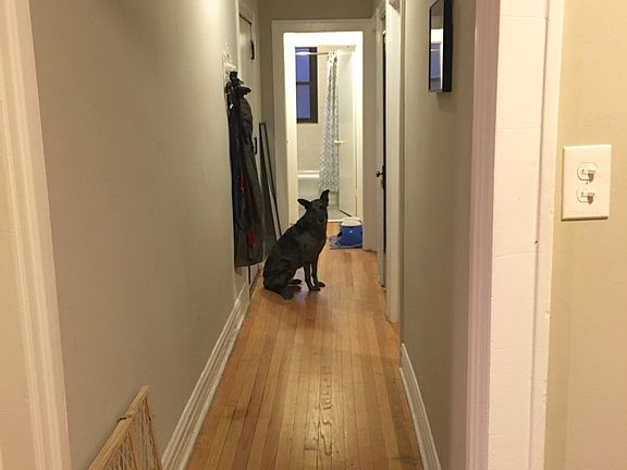 3rd image of 861 W Buena Ave APT 1E