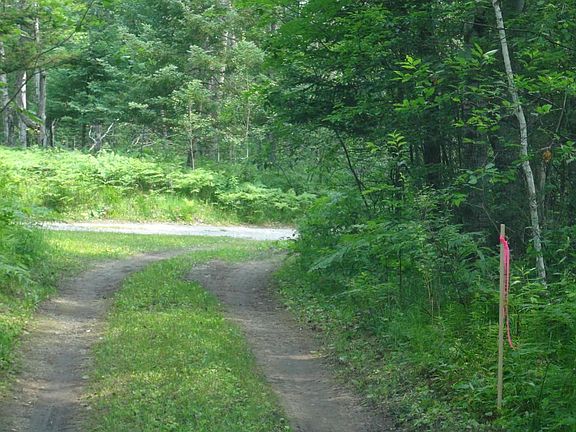 5th image of Mershon Trail 3.62 Acres