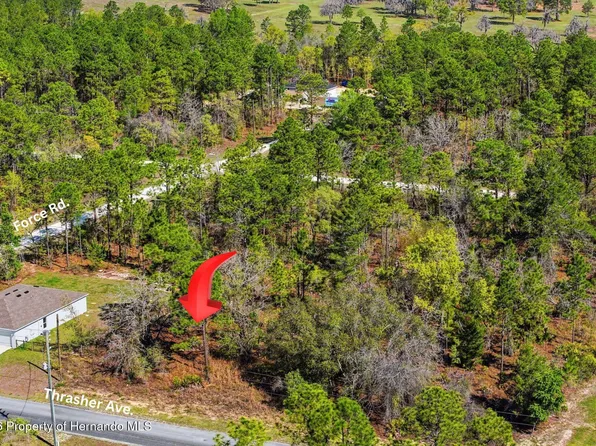 LOT 25 Thrasher Ave, Brooksville, FL 34614