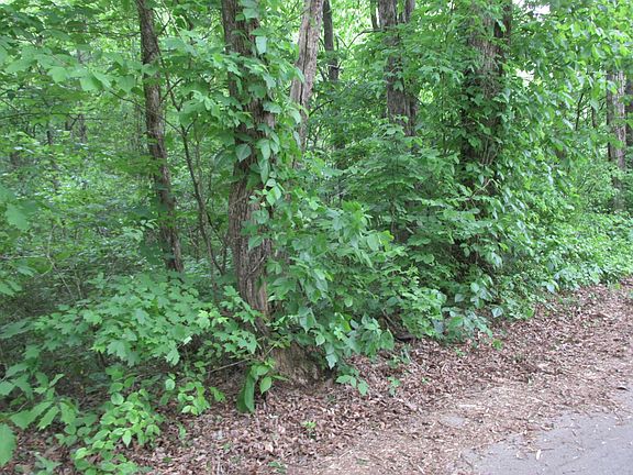 4th image of 0 Fork Rd