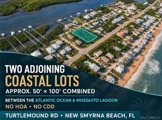 0 Turtlemound Rd, New Smyrna Beach, FL 32169