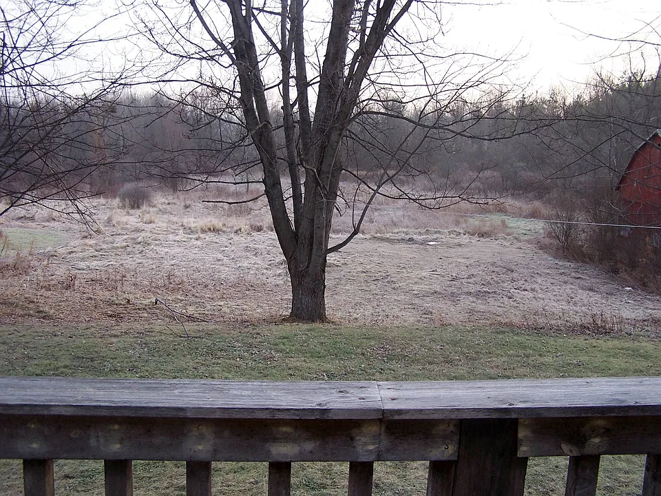 View from your private deck.