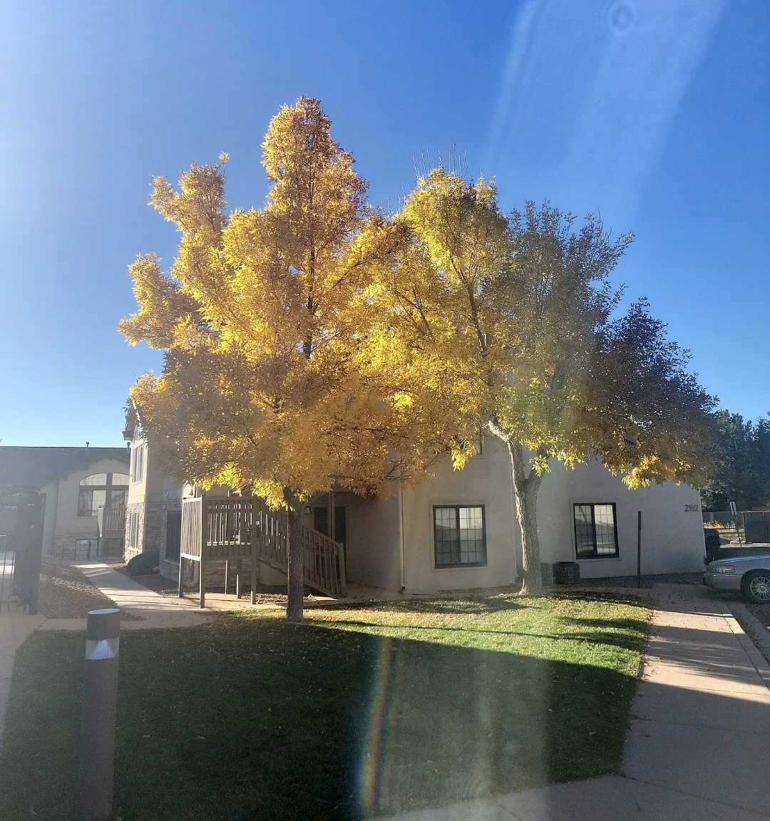 1 bed, 968 sqft, $1,800 — Photo 1