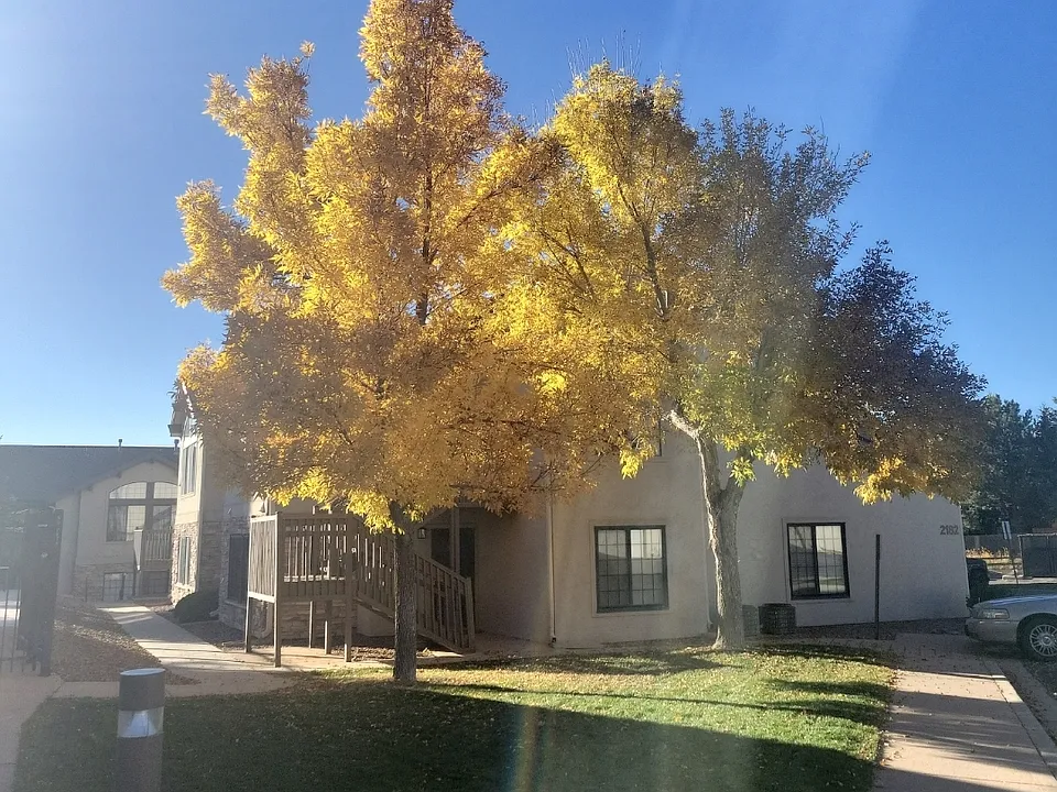 2132 Denton Grv #203