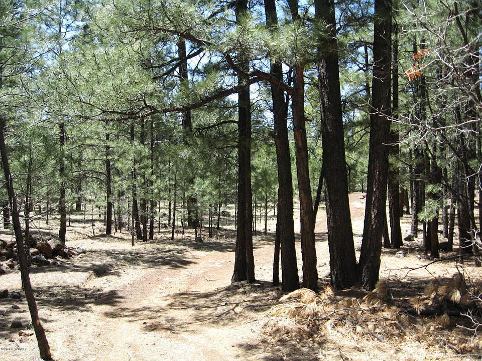 1st image of 2434 Black Bear Ln