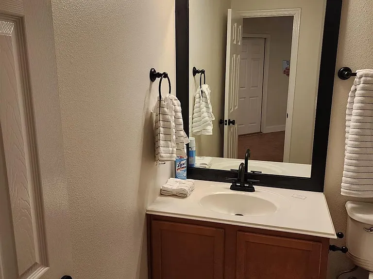 4519 Woodspring Glen Ln — Photo 10