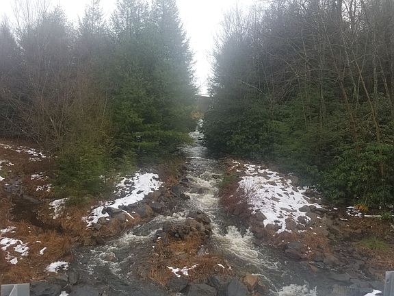 waterfall by the house