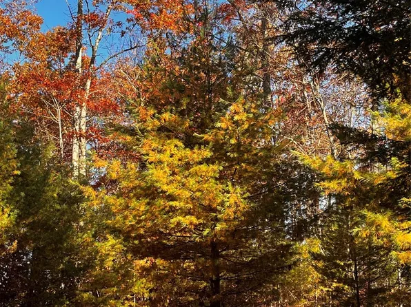 24 Black Oak Ln, Brevard, NC 28712