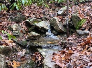 58 Lost Panther Rd #58, Brevard, NC 28712