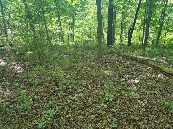 0 Tr117 Nr Woodside, Smithfield, PA 15478