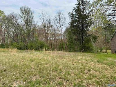 Bartee Rd, Laceys Spring, AL, 35754